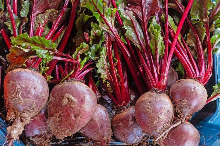 Değerini en çok Adanalılar biliyor Adan Zye bütün vitaminleri içeriyor