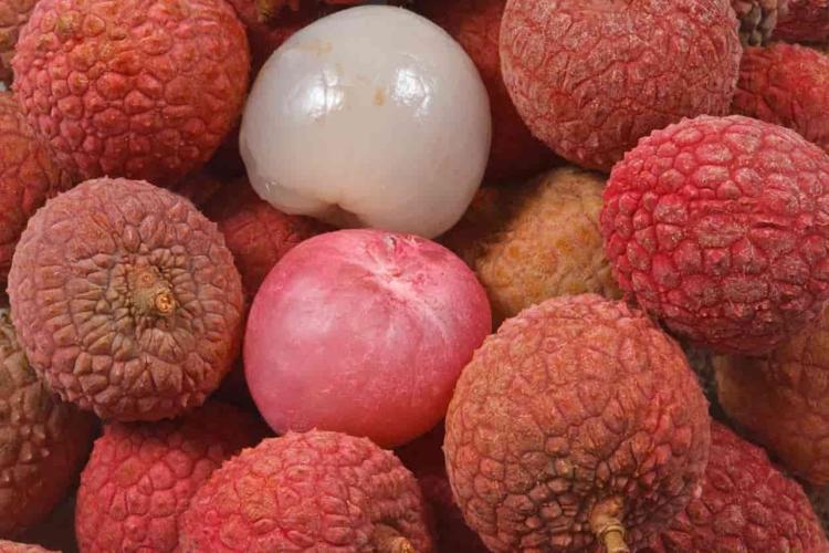 Portakaldan, limondan 20 kat fazla C vitamini içeriyor Tabak tabak yiyen hastalanmıyor: Kolesterolü dengeliyor, tansiyonu düşürüyor