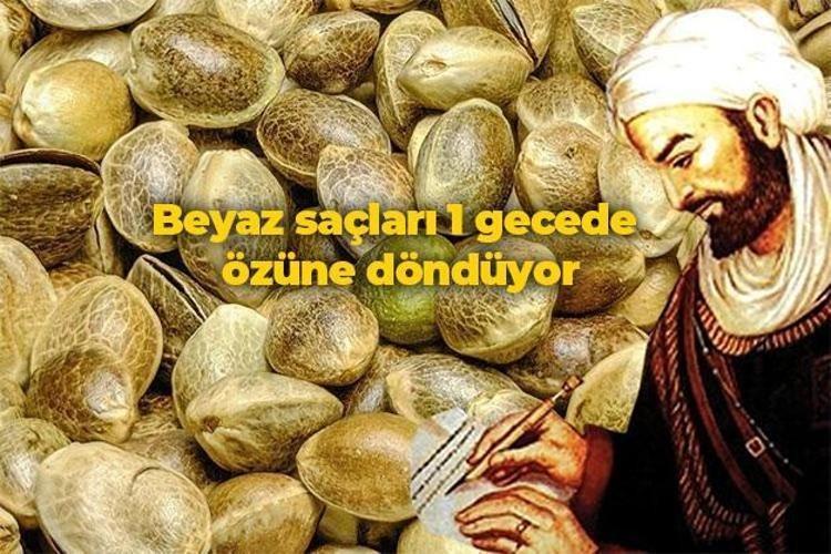 Boya değil bitkisel yağ Beyaz saçları 1 gecede özüne döndüren İbn-i Sina önerisi