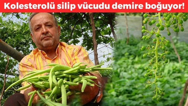 Pazarda kapış kapış satılmaya başlandı Kilosu 50 TL: Kolesterol seviyelerini anında düşürüp vücudu demire boğuyor