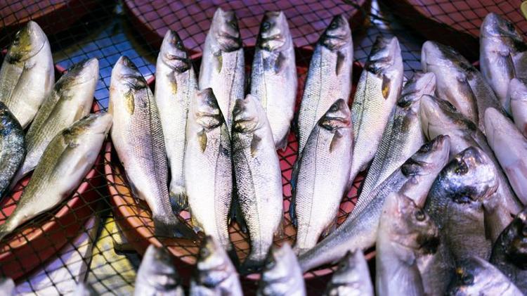 BEYNİ VE SİNİR SİSTEMİNİ GÜÇLENDİRİR