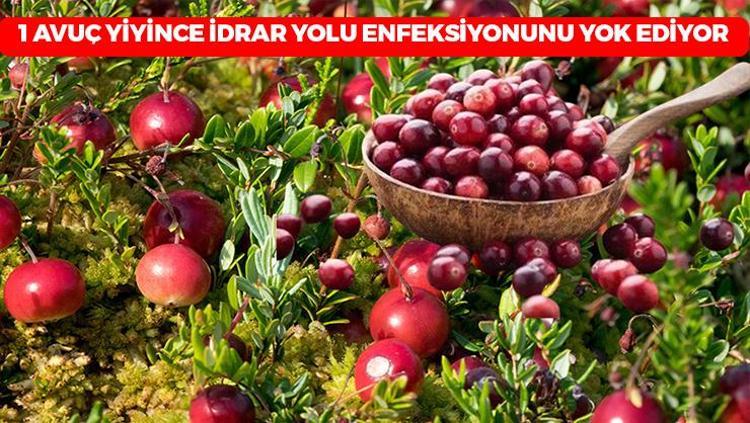 Karadenizde kendiliğinden yetişiyor: 1 avuç yiyince idrar yolu enfeksiyonunu anında temizliyor