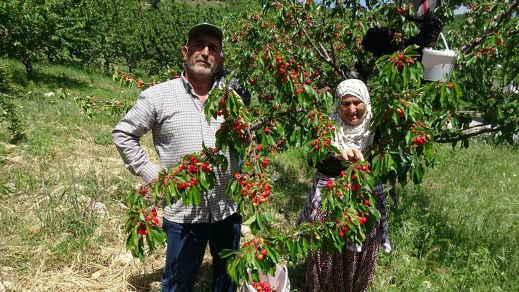 Mersinde yetişiyor ama Ruslar kapış kapış alıyor Pazarda kilosu 70 TLyi buldu: Kabızlığı bitirip bağırsakları motor gibi çalıştırıyor