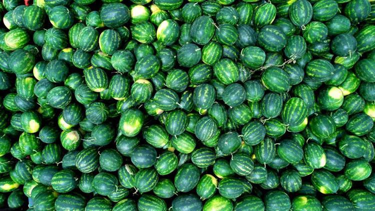 Adana’dan Rusyaya, Yunanistana gönderiliyor Organları yeniden doğmuş gibi yapan meyve: Vücuda potasyum, magnezyum, C vitamini yüklüyor