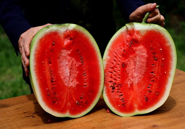 Adana’dan Rusyaya, Yunanistana gönderiliyor Organları yeniden doğmuş gibi yapan meyve: Vücuda potasyum, magnezyum, C vitamini yüklüyor