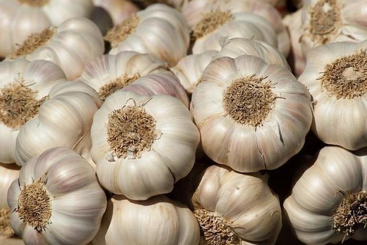 Vücutta sihir gibi çalışan baharatlar Bu karışım vücuttaki hastalıklara meydan okuyor, yiyenin derdi tasası kalmıyor
