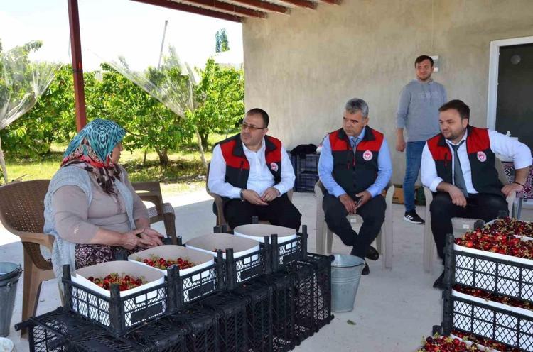 Kuranda da adı geçiyor Denizlide hasadı başladı: Suyunu sıkıp bardak bardak içince damardaki kolesterolü sıfırlıyor, doğal tansiyon ilacı