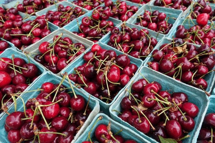 Kuranda da adı geçiyor Denizlide hasadı başladı: Suyunu sıkıp bardak bardak içince damardaki kolesterolü sıfırlıyor, doğal tansiyon ilacı