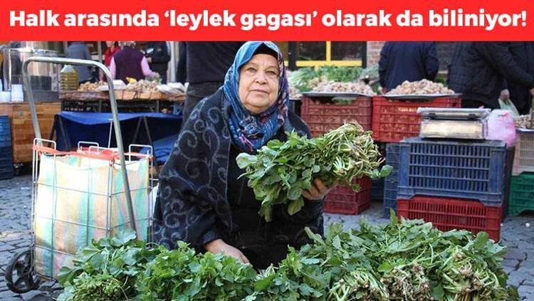 Yol kenarında bile yetişiyor, halk arasında leylek gagası adıyla biliniyor Hırıltı, öksürük ve balgamı bıçak gibi kesiyor, iltihabın kökünü kurutuyor
