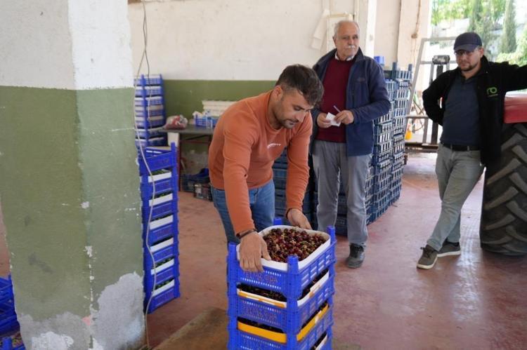 Burada parayı pazarcı kazanıyor