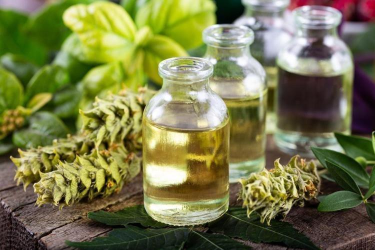1 damlası bile akciğerleri tertemiz yapıyor Limonu ve sarımsağı sollayan tek besin, kalp krizi riskini sıfırlıyor