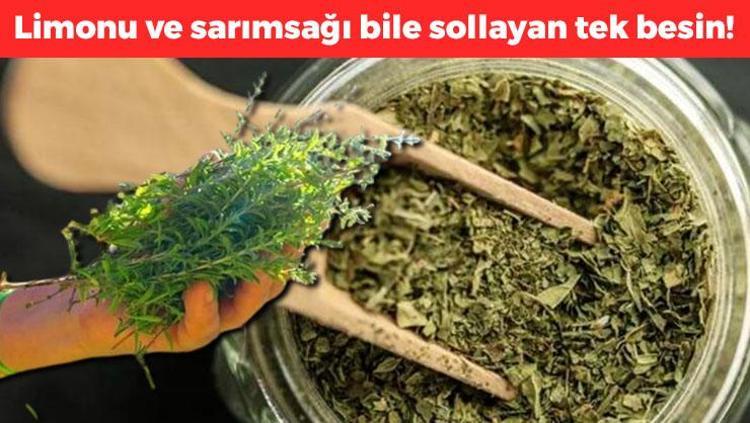 1 damlası bile akciğerleri tertemiz yapıyor Limonu ve sarımsağı sollayan tek besin, kalp krizi riskini sıfırlıyor