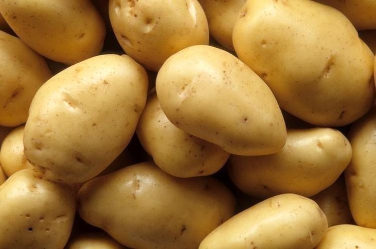 PATATES VE NİŞASTALI ÜRÜNLER