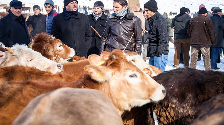 Kurban Bayramı ne zaman kutlanacak Bu yıl Kurban Bayramı’nda kaç gün tatil var, 9 gün olacak mı 2024 Kurban Bayramı tarihleri
