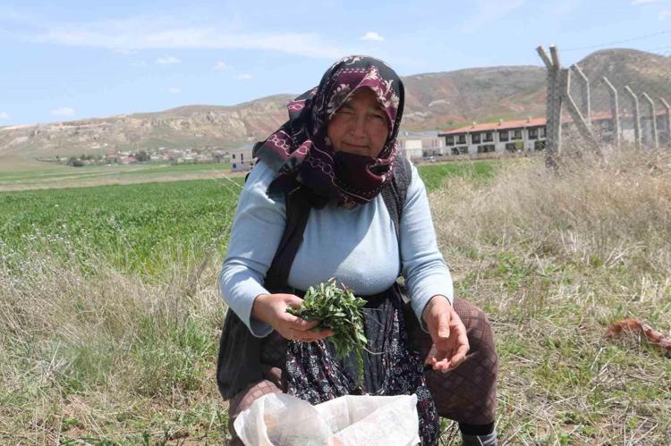 KALP VE DAMAR SAĞLIĞINI KORUR