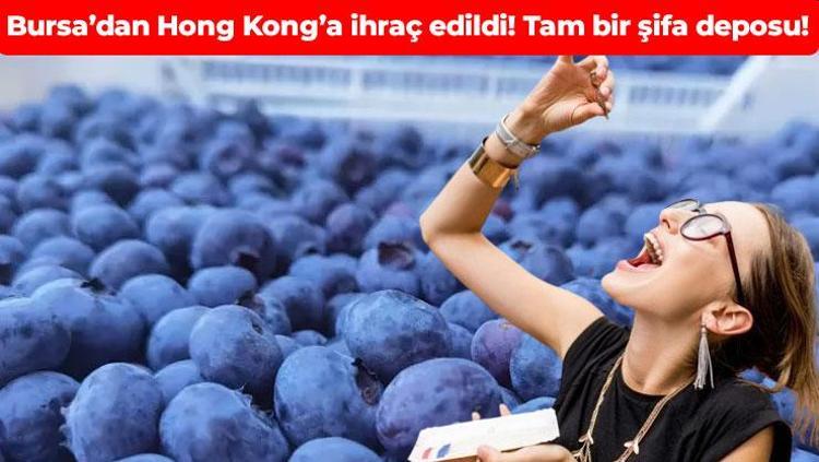 Bursa’dan Hong Kong’a ihraç edildi Avuç avuç yiyen her derdine çare buluyor: C ve K vitamini deposu, beyni fişek gibi çalıştırıyor, tokluk hissini artırıyor