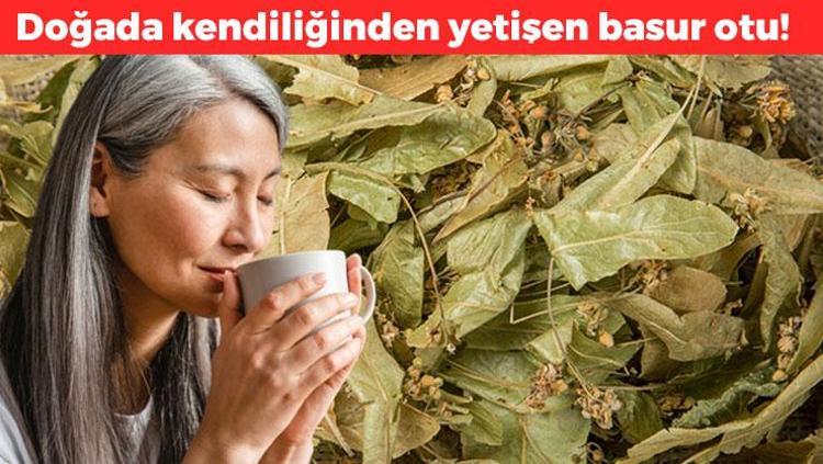 Basura en doğal çözüm ondaymış Neredeyse her evde var, kalbi koruyup damarları genişletiyor 1 kaşık balla karıştırmak yetiyor, bardak bardak için