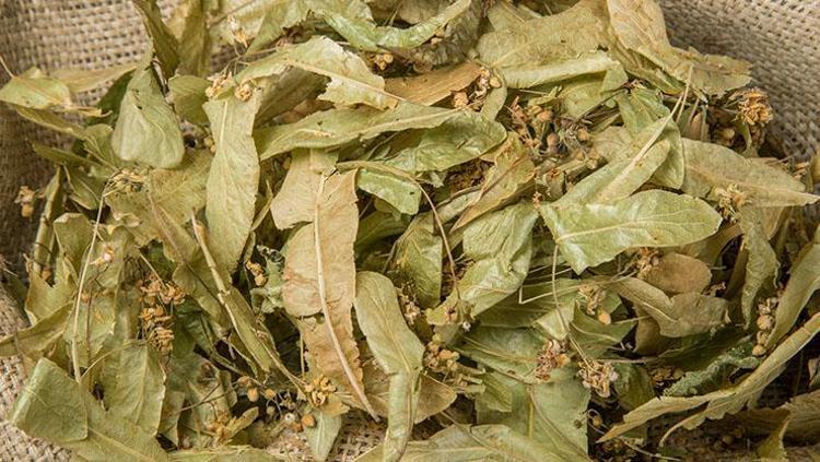 BAĞIŞIKLIK SİSTEMİNİ GÜÇLENDİRİR