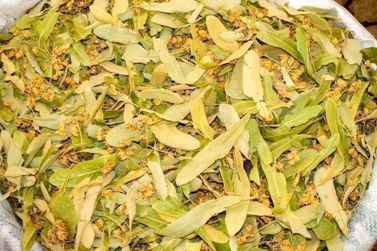 STRESİ VE ANKSİYETEYİ AZALTIR