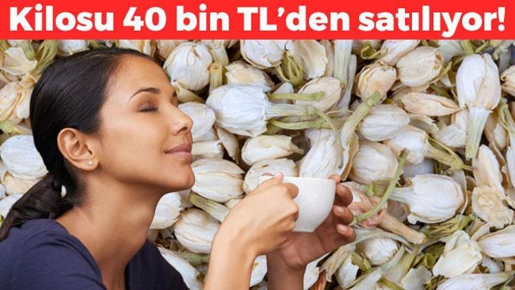 İmparatorların çayı olarak biliniyor, Japonlar bardak bardak içiyor Kolesterolü düşürüp beyni fişek gibi yapıyor Kilosu 40 bin TL