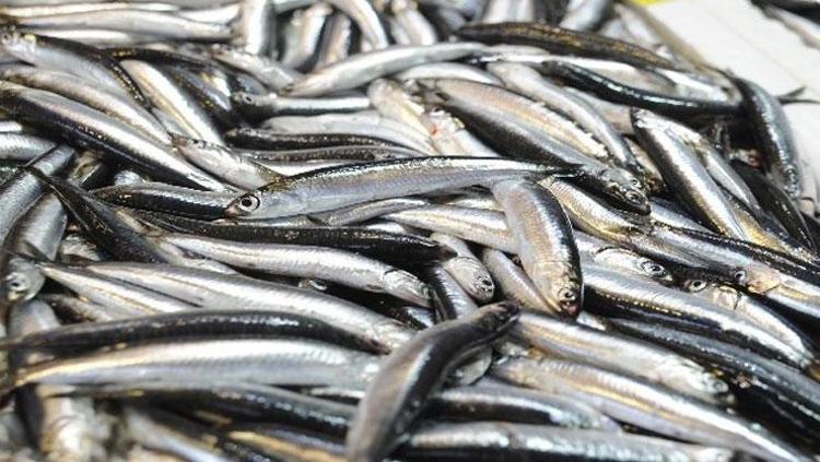 ŞİFA BULAYIM DERKEN SAĞLIĞINIZDAN OLABİLİRSİNİZ