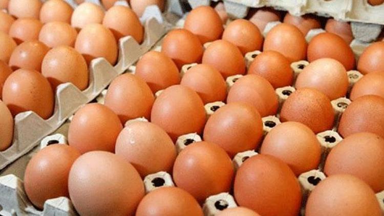 YUMURTA EGZAMAYI ALEVLENDİRİYOR