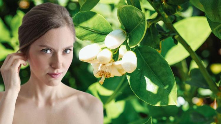 Gece 1 damla sürünce hücre onarımını destekliyor Anti-aging koruma sağlayan tek yöntem, doğal botoks etkisi