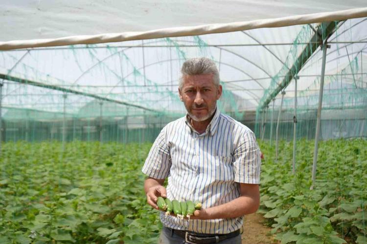 Pazarda 25 TLden kapış kapış satılıyor Dünyanın en zengin potasyum kaynağı, yüzde 90u sudan oluşan besin