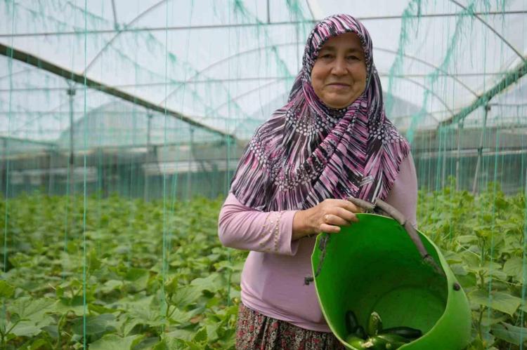 Pazarda 25 TLden kapış kapış satılıyor Dünyanın en zengin potasyum kaynağı, yüzde 90u sudan oluşan besin