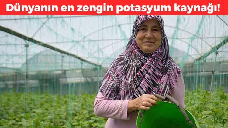 Pazarda 25 TLden kapış kapış satılıyor Dünyanın en zengin potasyum kaynağı, yüzde 90u sudan oluşan besin