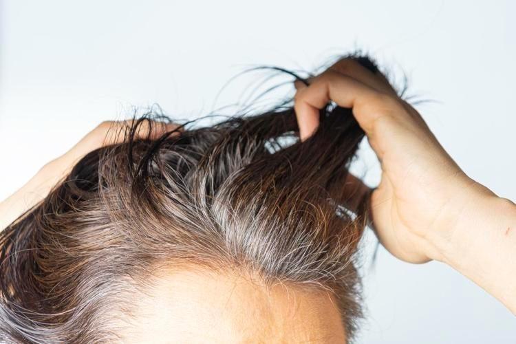 Boya değil bitkisel yağ Beyaz saçları 1 gecede özüne döndüren İbn-i Sina önerisi