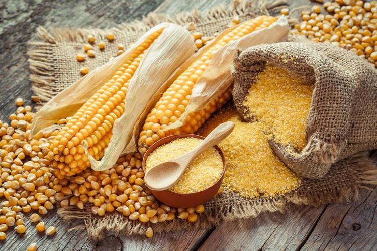 GLUTEN İNTOLERANSI OLANLAR İÇİN DE UYGUNDUR