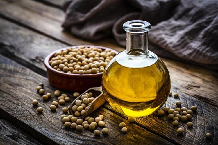 Japonlar kaşık kaşık yiyor Protein bombası, yiyenin ömrünü 10 yıl uzatıyor Doğadaki güçlü D vitamini kralı