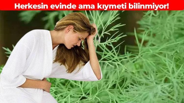 Uyumadan önce yiyince o sorun kökten çözülüyor Faydalarını öğrenen pazara koşuyor: Hastalıklarla savaşıyor, kemikleri kolon gibi güçlendiriyor, kabızlığın kökünü kazıyor