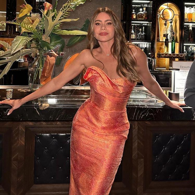 Sofia Vergara: Göğüslerim bir astronot ya da bilim insanını oynamama izin vermeyecek kadar büyük