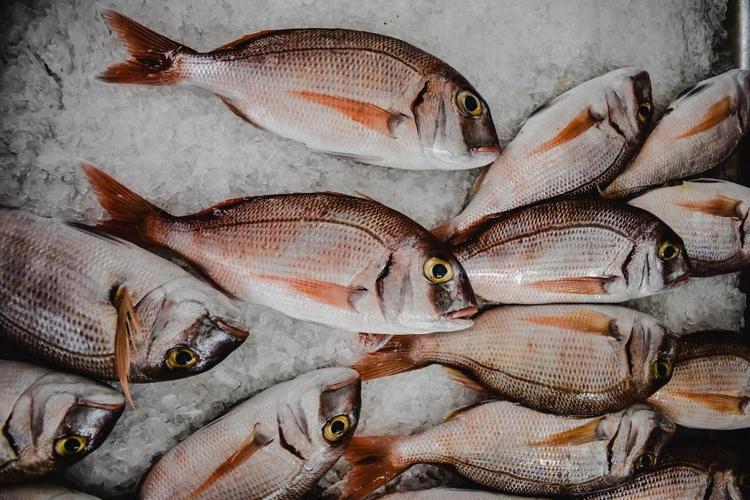 1 kaşık yiyen 1 kutu kolajen içmiş kadar oluyor Takviye ürünleri çöpe attıran besin: Hücreleri onarıp, kırışıklıkları ütü gibi düzleştiriyor