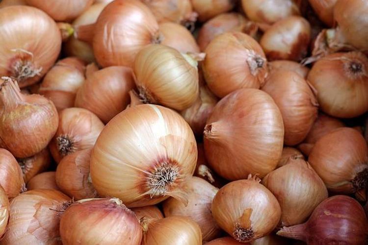 Kafaya değdiği anda 4 saatte saç fışkırtıyor Sadece 3 malzemeyle dökülen saçları geri getiren karışım