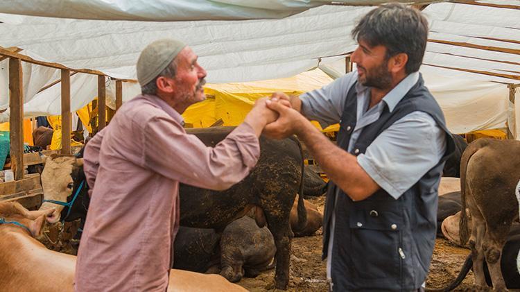 Kurbanlıklar görücüye çıktı: Fiyatları gören şaşırdı