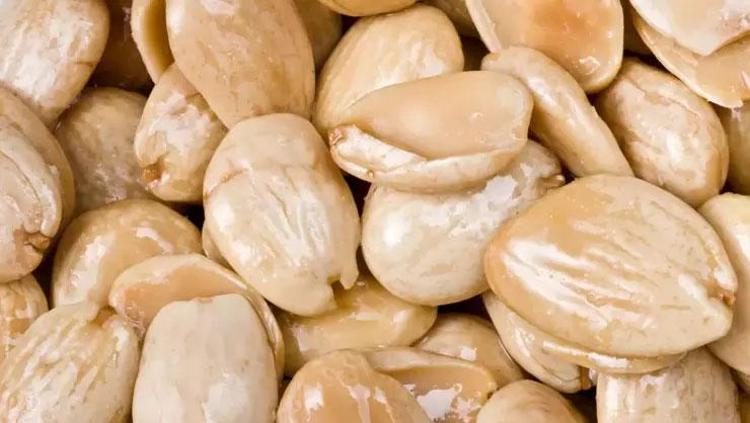 BAĞIRSAKLARDAKİ İYİ BAKTERİ SAYISINI ARTIRIYOR
