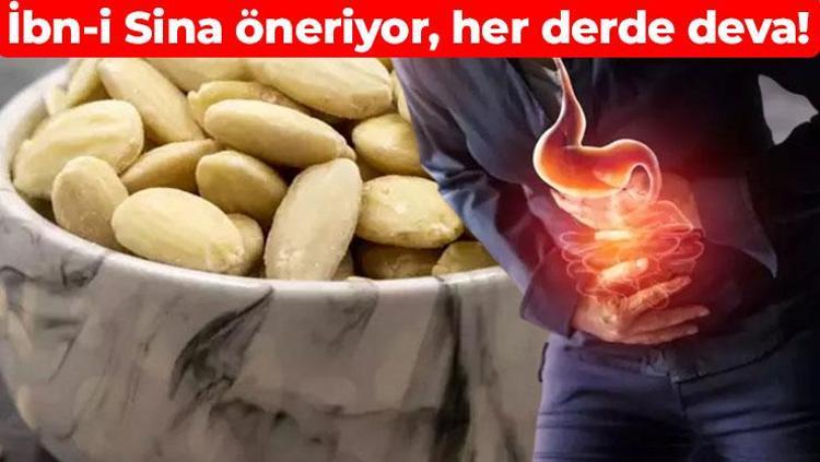 46 tanesi kabızlığa son veriyor İbn-i Sina’nın önerdiği o besinin bir tek ölüme çaresi yok: Bağırsakları çamaşır suyu gibi temizliyor, astım hastalarının vazgeçilmezi