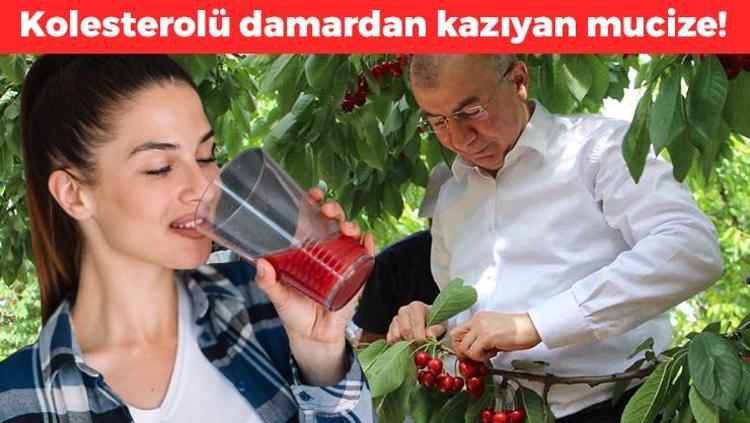 Amasyadan Rusya ve Almanyaya kilo kilo satılıyor 75 gün hasat ediliyor: Suyunu bardak bardak içince damardaki kolesterolü sıfırlıyor Doğal tansiyon ilacı