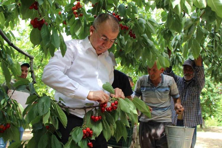 SİNDİRİMİN DOSTUDUR
