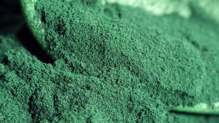 BAĞIŞIKLIK SİSTEMİNİ GÜÇLENDİRME