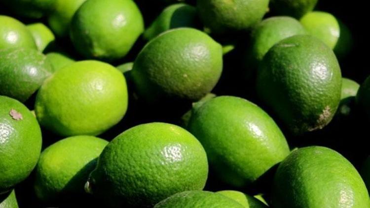 Uykuda bile kilo verdiriyor İçtiğiniz anda yağları erim erim eritiyor: Vücuttaki ödemleri bağıra bağıra kaçırıyor, metabolizmayı ateşliyor, toksinlerin kökünü kazıyor