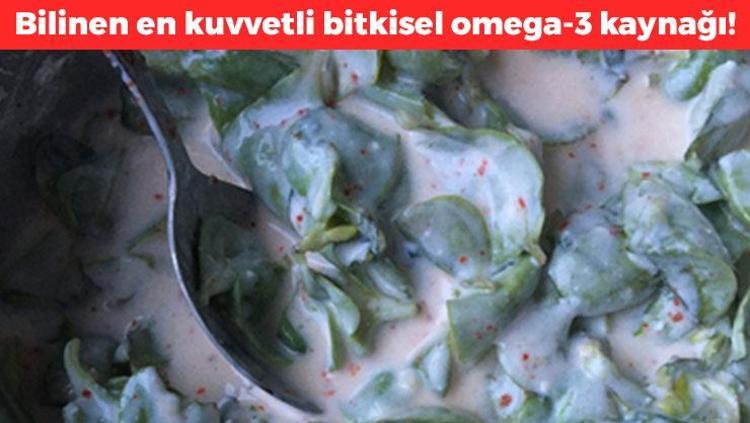Doğadaki en kuvvetli bitkisel omega-3 deposu Pirpirim adıyla da biliniyor: Kötü kolesterolü silip iltihabı kurutuyor Kanserden koruyan doğal kalp ilacı