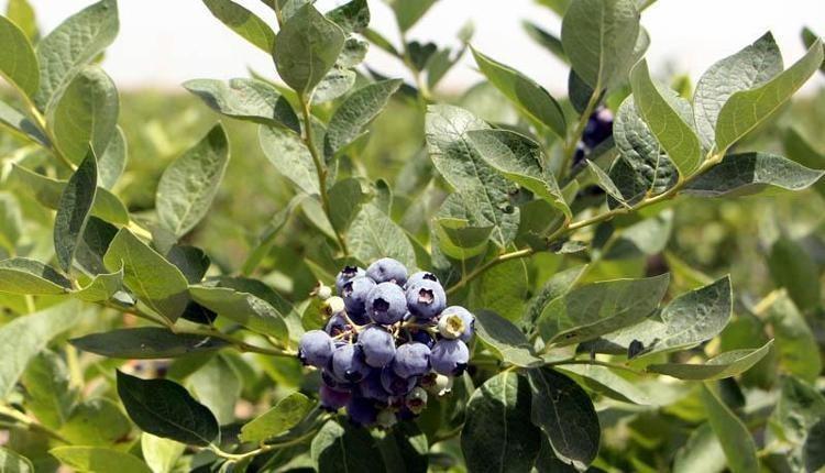 İNSANLAR ÇARESİZ KALMASIN DİYE ÜRETİME BAŞLADIM