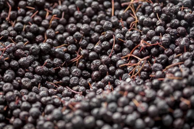 CİLT SAĞLIĞINI İYİLEŞTİRİR