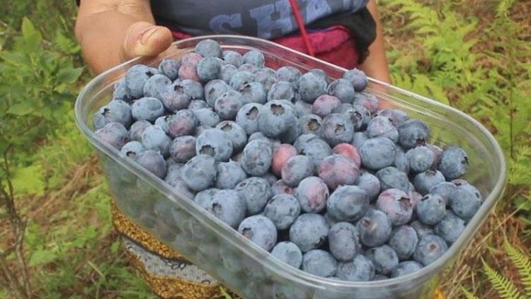 KENDİ İÇİN ÜRETİYORDU GEÇİM KAYNAĞI OLDU