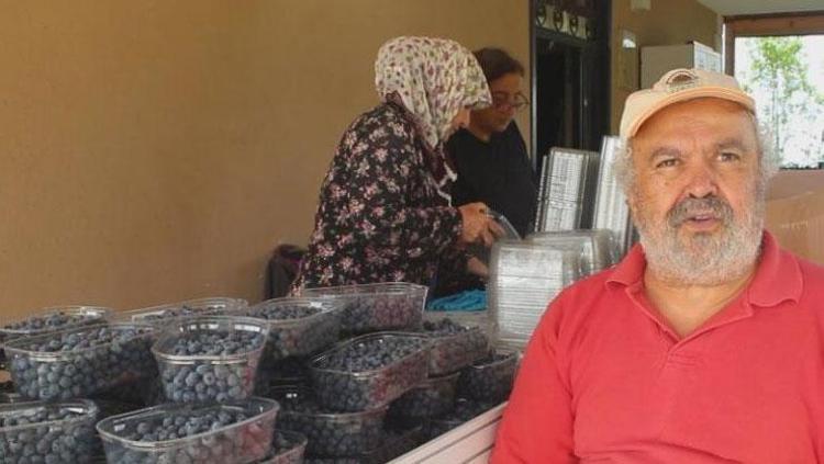 Halk arasında ‘mavi yemiş’ olarak biliniyor Altın gibi tartılarak satılıyor: Dünyanın en güçlü C vitamini kaynağı, iltihabın kökünü kazıyor, avuç avuç yiyince beyni gencecik yapıyor