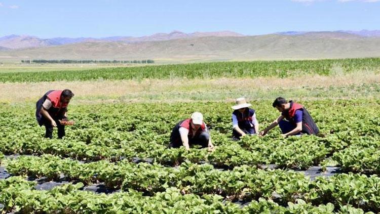 AĞRI’DA HASADI BAŞLADI